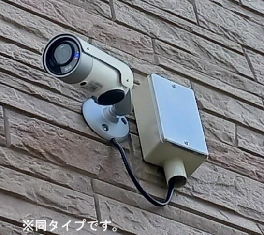 アルストロメリア5