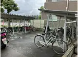 アビタシオン扇