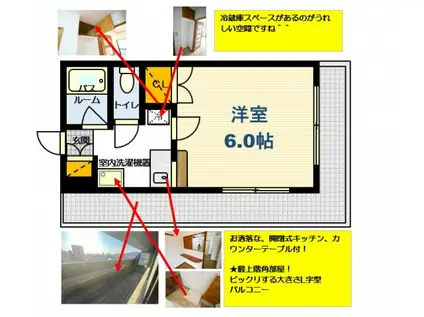 ロアール上天満(1K/9階)の間取り写真