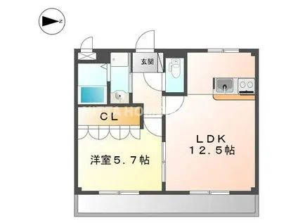 ルピナスネオコート(1LDK/1階)の間取り写真