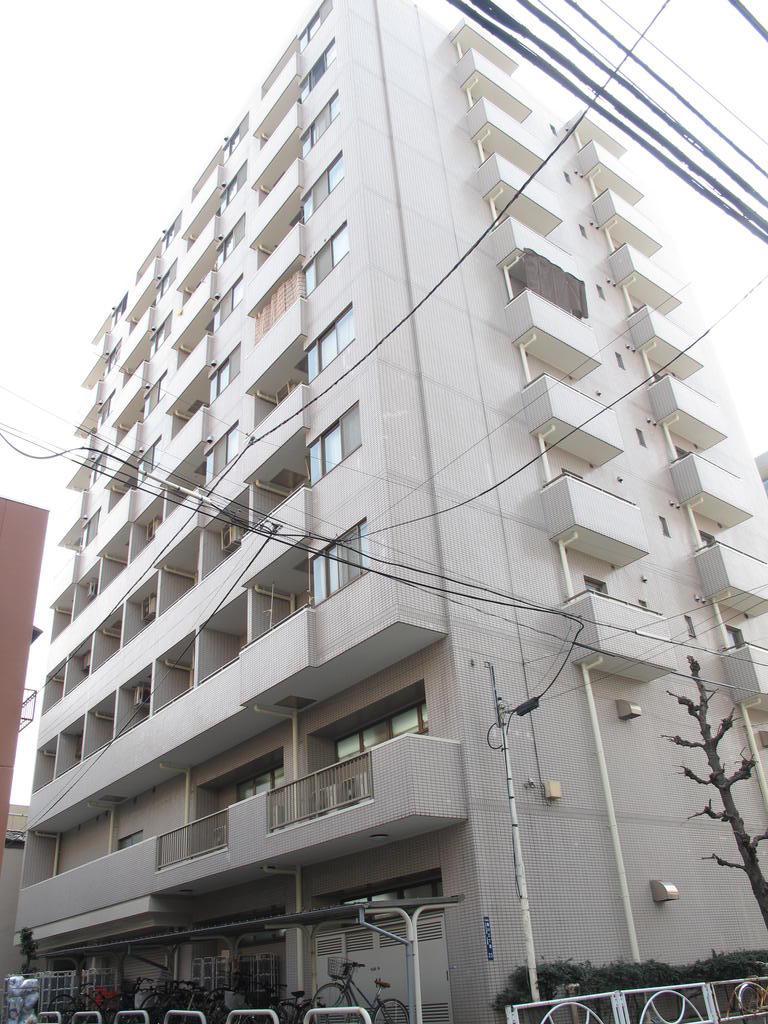 ライツ菊川