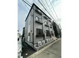 IVY富沢