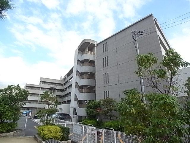 HIYODORI