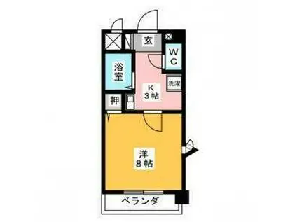 ソフィア柴田(1K/3階)の間取り写真