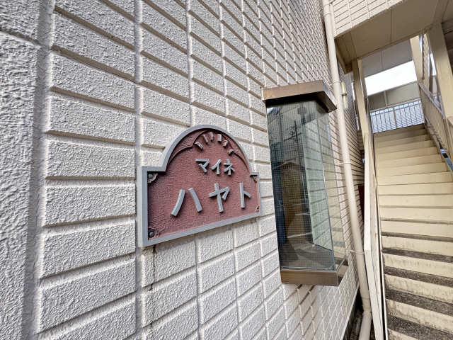 マイネハヤト