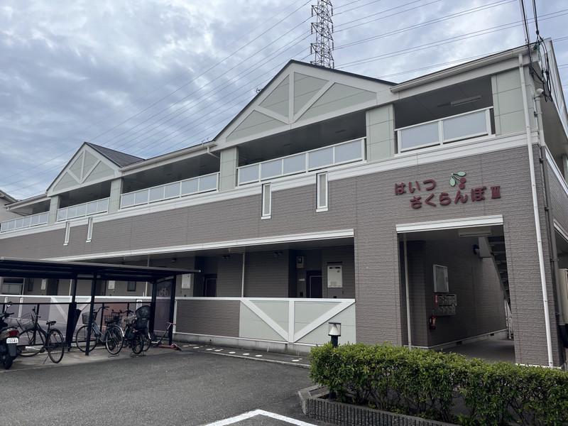 はいつさくらんぼIII