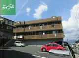ロココレディー小島