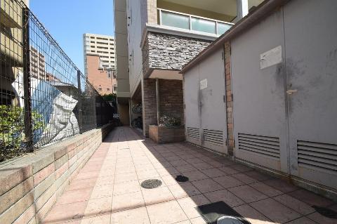 カナセ上汐