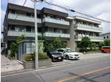 コサカリーノ