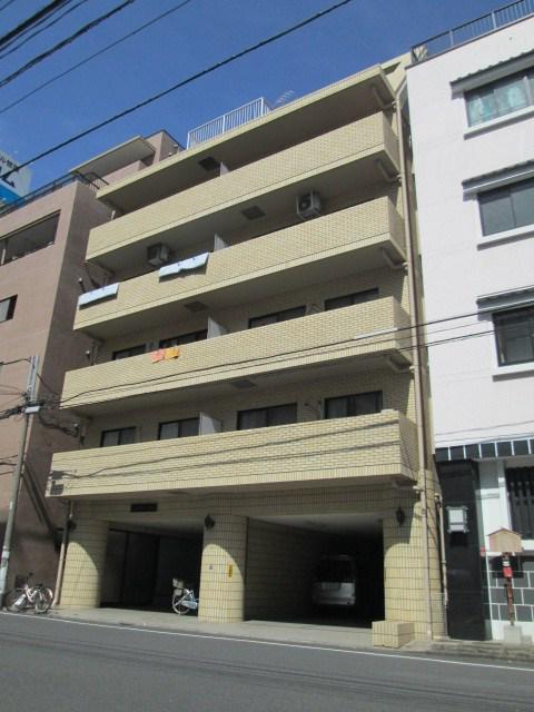 SUN OLIVE 新名
