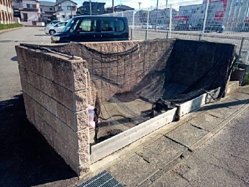 レオネクスト安城亀山