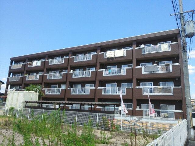モラーダアオキ