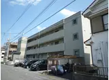 シャトレー新町