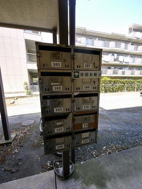 ドミール高峰I