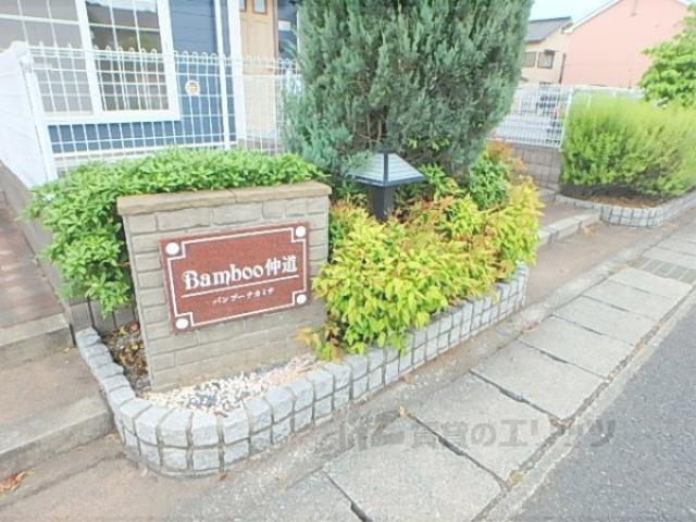 BAMBOO仲道