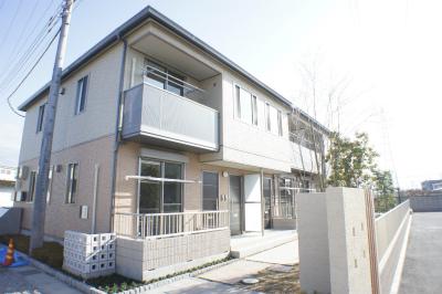 クレマチス