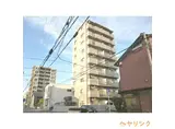 サンプラーザ花の木