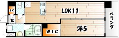 ハイネス槻田(1LDK/12階)の間取り写真