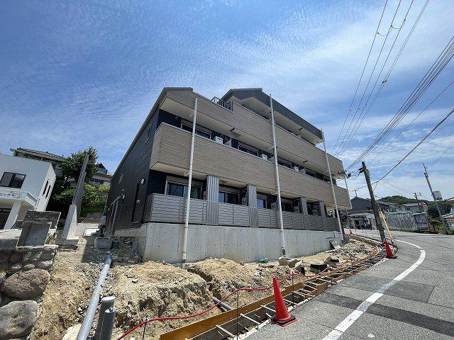 リリーセノラ