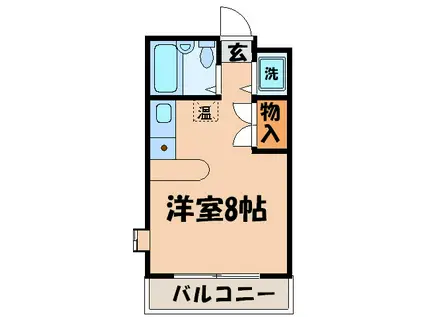 シャトーレ三栄3(ワンルーム/1階)の間取り写真