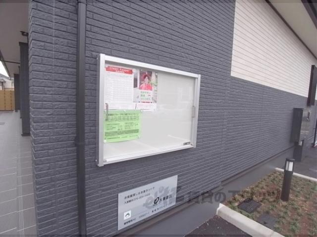 パールアイランド
