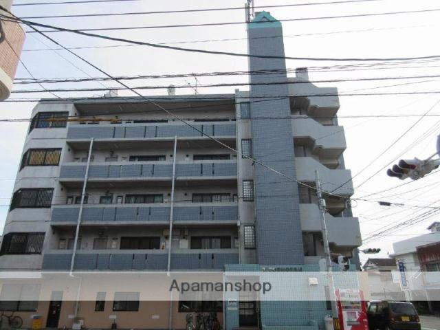 21コスモス丸山