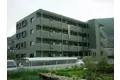 アンリシール