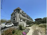 ドミール藤井