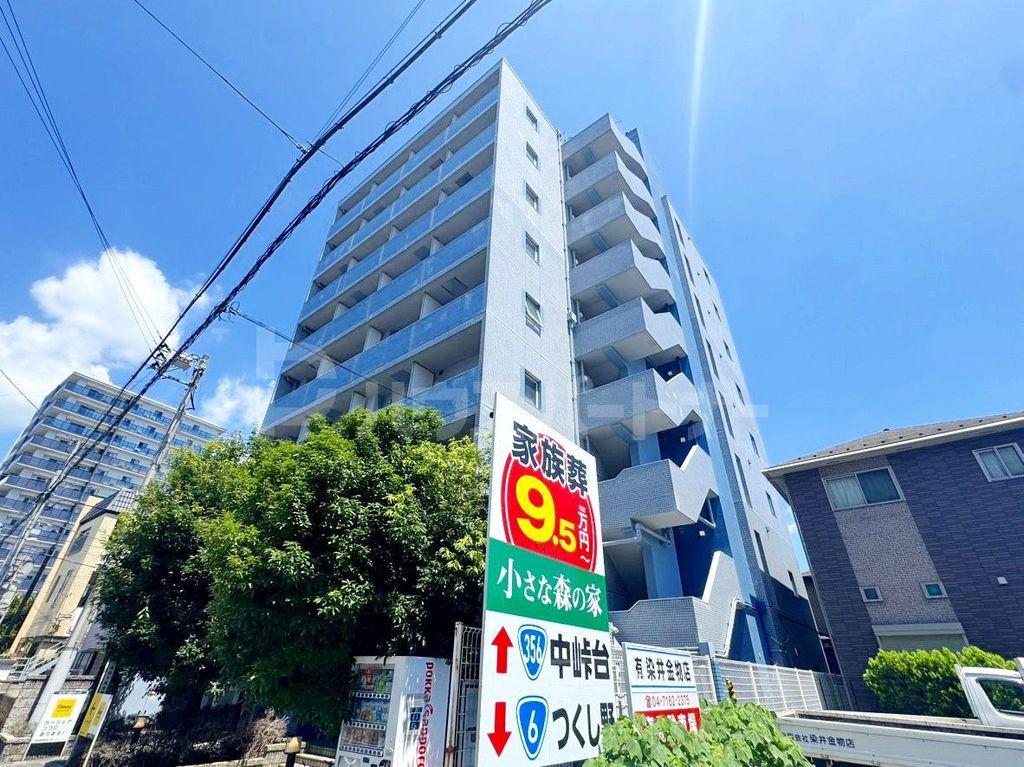 セレスティン我孫子