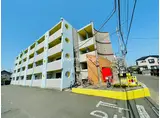 ライラック
