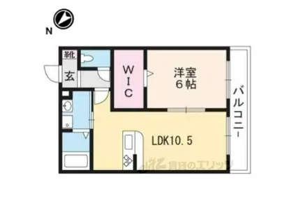 クレール彩(1LDK/1階)の間取り写真
