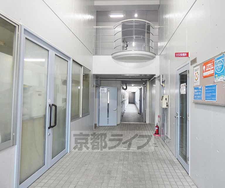 グラフィーネ向島