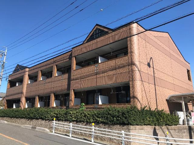 PINE FOREST