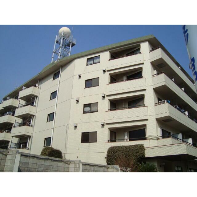 山王ハマセイホウ