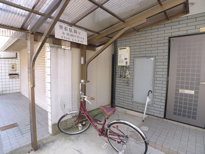 ハイムシモヤナギ