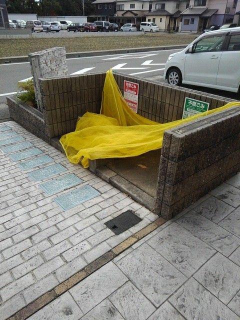 デーア フィオーレ