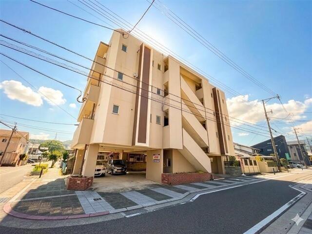 CLEO石坪