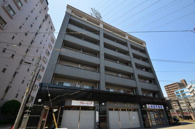 ゴールドクレスト