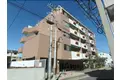 TAMS COURT