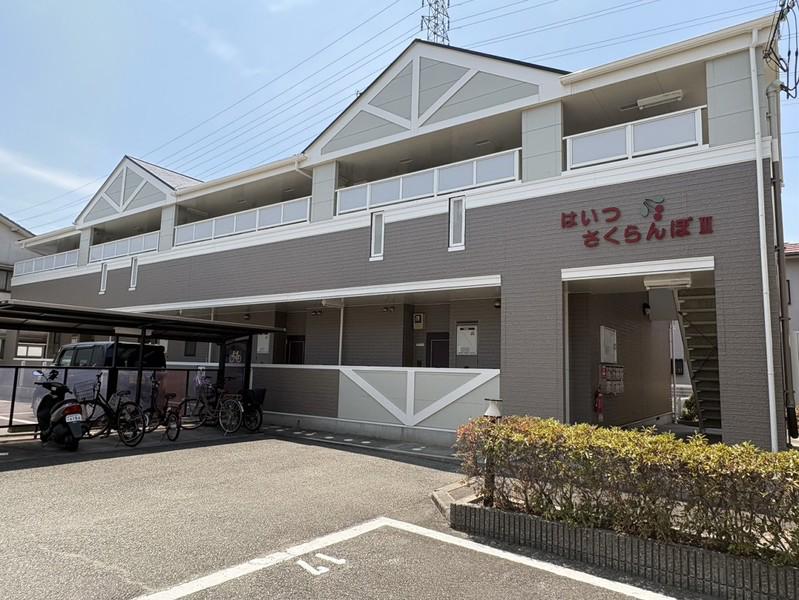はいつさくらんぼIII