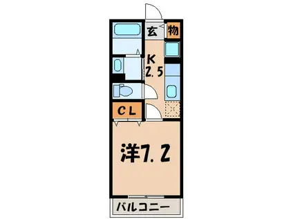 メープルコート(1K/1階)の間取り写真