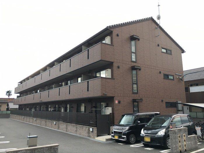 POLONIA KOKURA-KITA