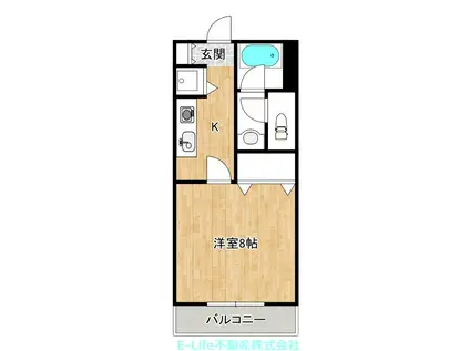 メゾンドソフィア月出(1K/1階)の間取り写真