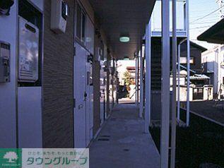 レオパレスラ トゥサ