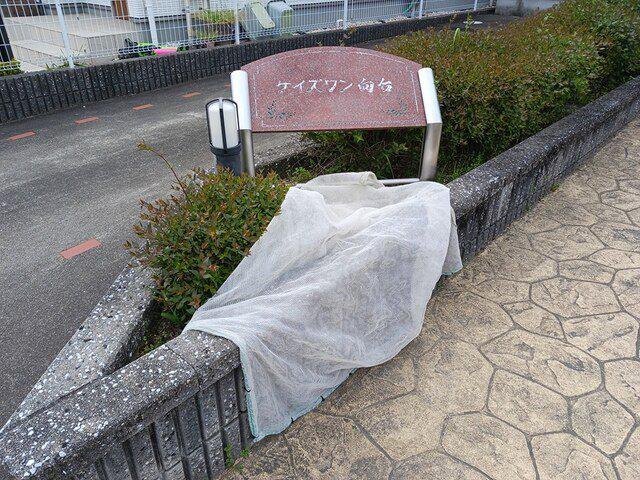 ケイズワン向台