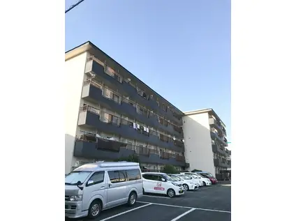 亀井レジデンス(3LDK/2階)の外観写真