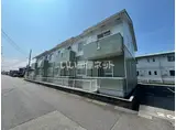 カメリアボア