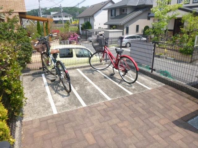 クランベリー