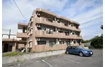ルミエール緑