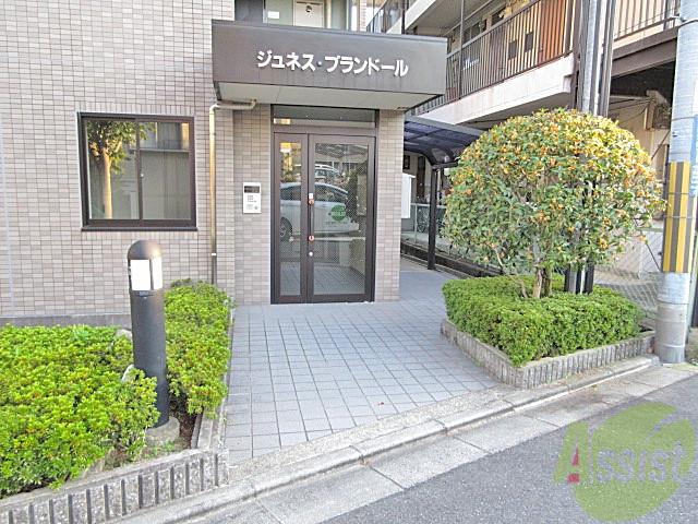 ジュネス・ブランドール
